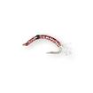 disco worm